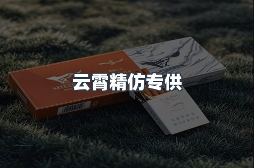 云霄精仿专供